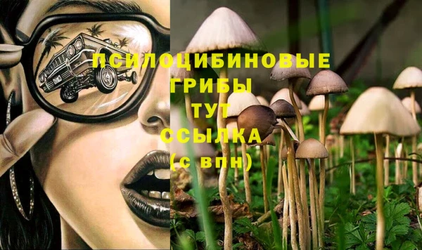 дживик Горно-Алтайск