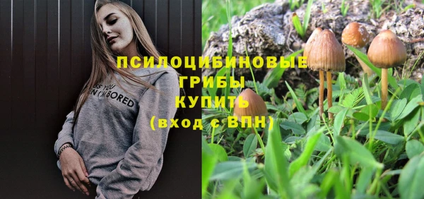 дживик Горно-Алтайск